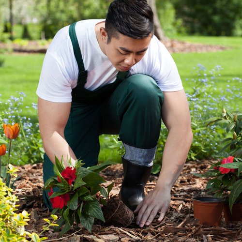 Generic placeholder thumbnail
